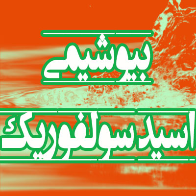 بیوشیمی اسید سولفوریک بیوشیمی اسید سولفوریک
