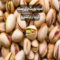 اسید بوریک برای پسته ⭐️ کاربرد آن در کشاورزی