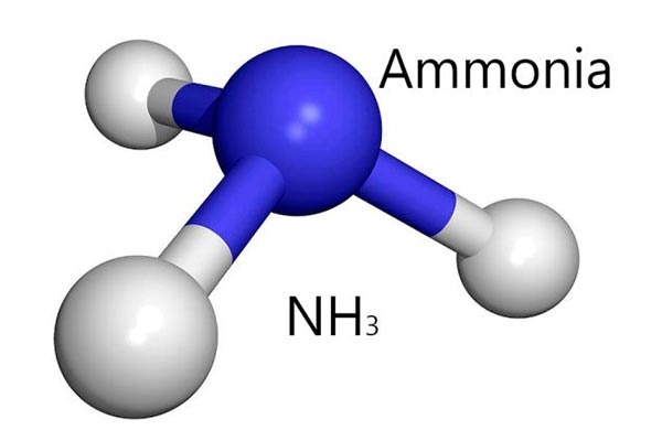 ساختار مولکولی آمونیاک